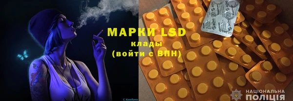 ГАЛЛЮЦИНОГЕННЫЕ ГРИБЫ Абаза