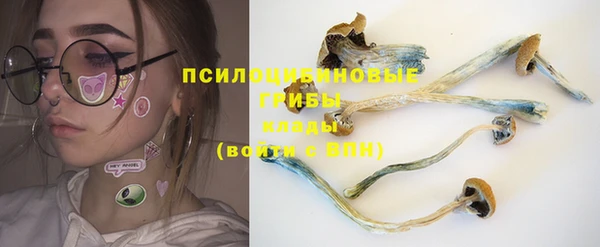 шишки Осташков