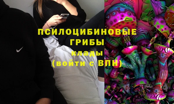дмт Алексин