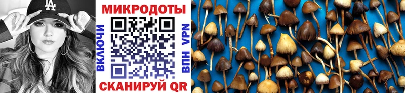 продажа наркотиков  Ялта  Псилоцибиновые грибы Psilocybine cubensis 